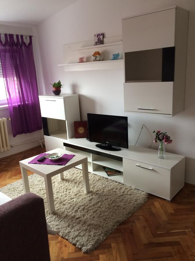 Tami Apartment Novi Sad Buitenkant foto